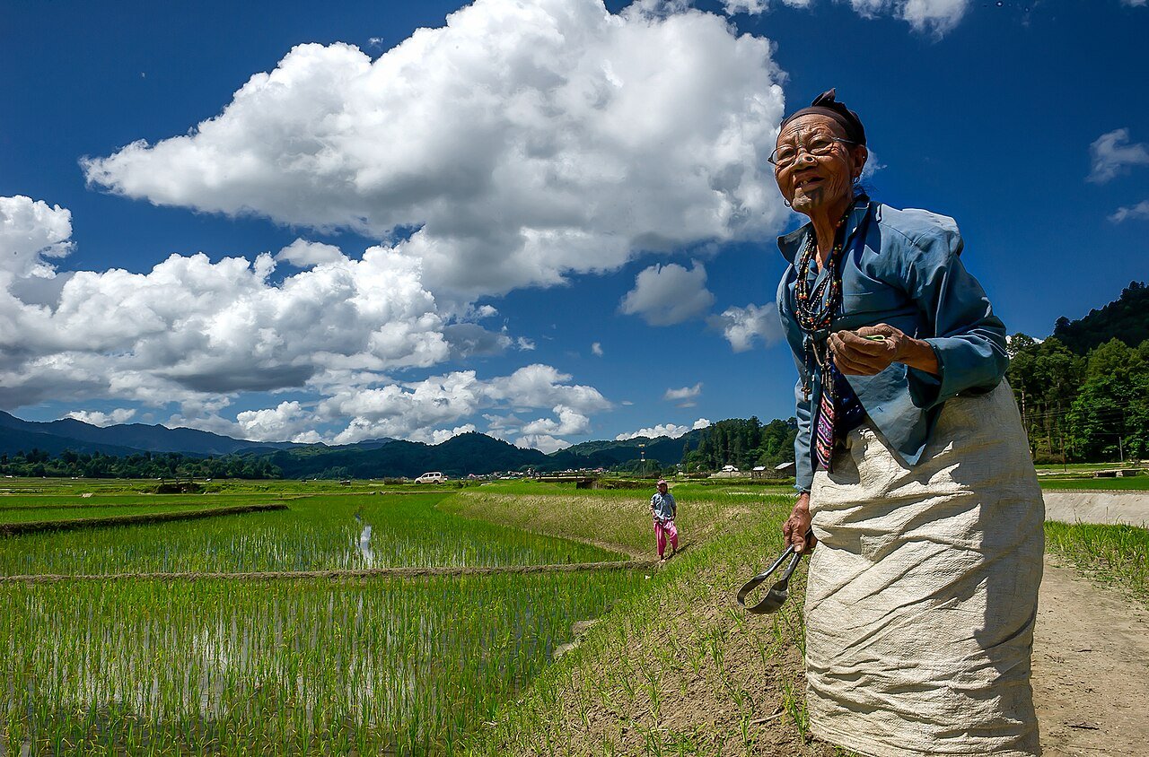 Ziro Valley