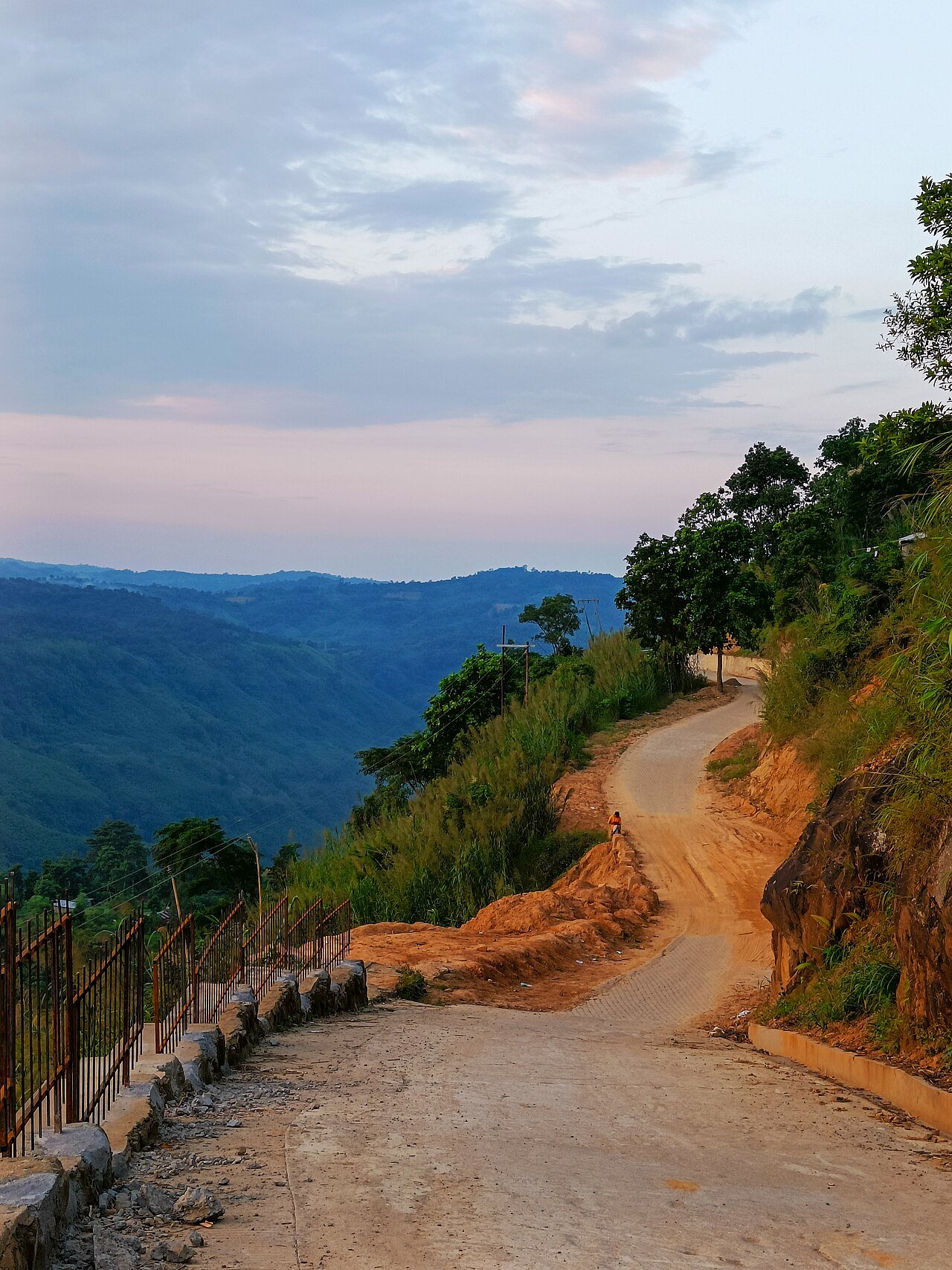 Dima Hasao