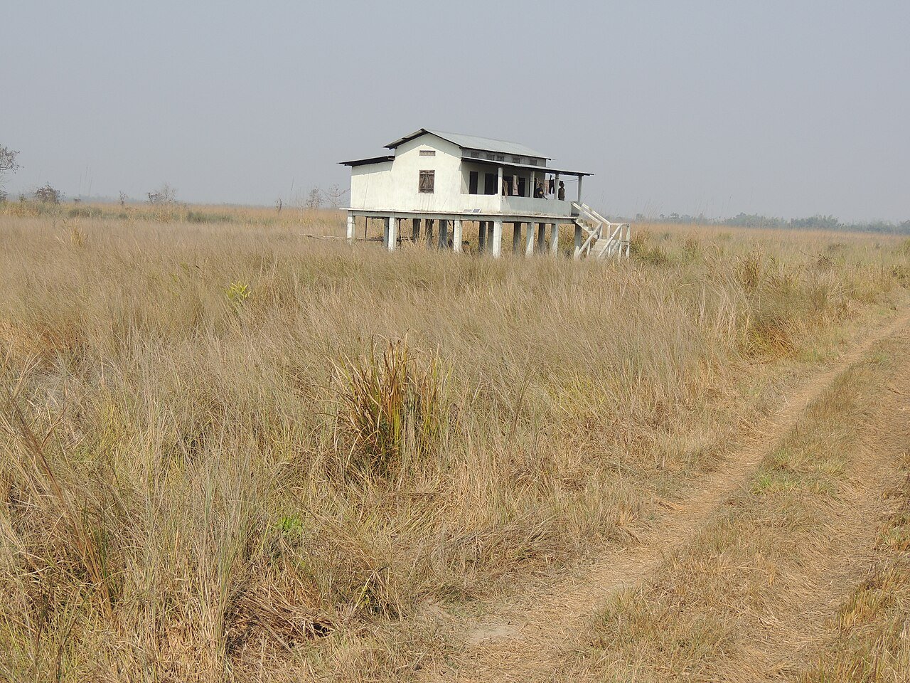 Kaziranga National Park