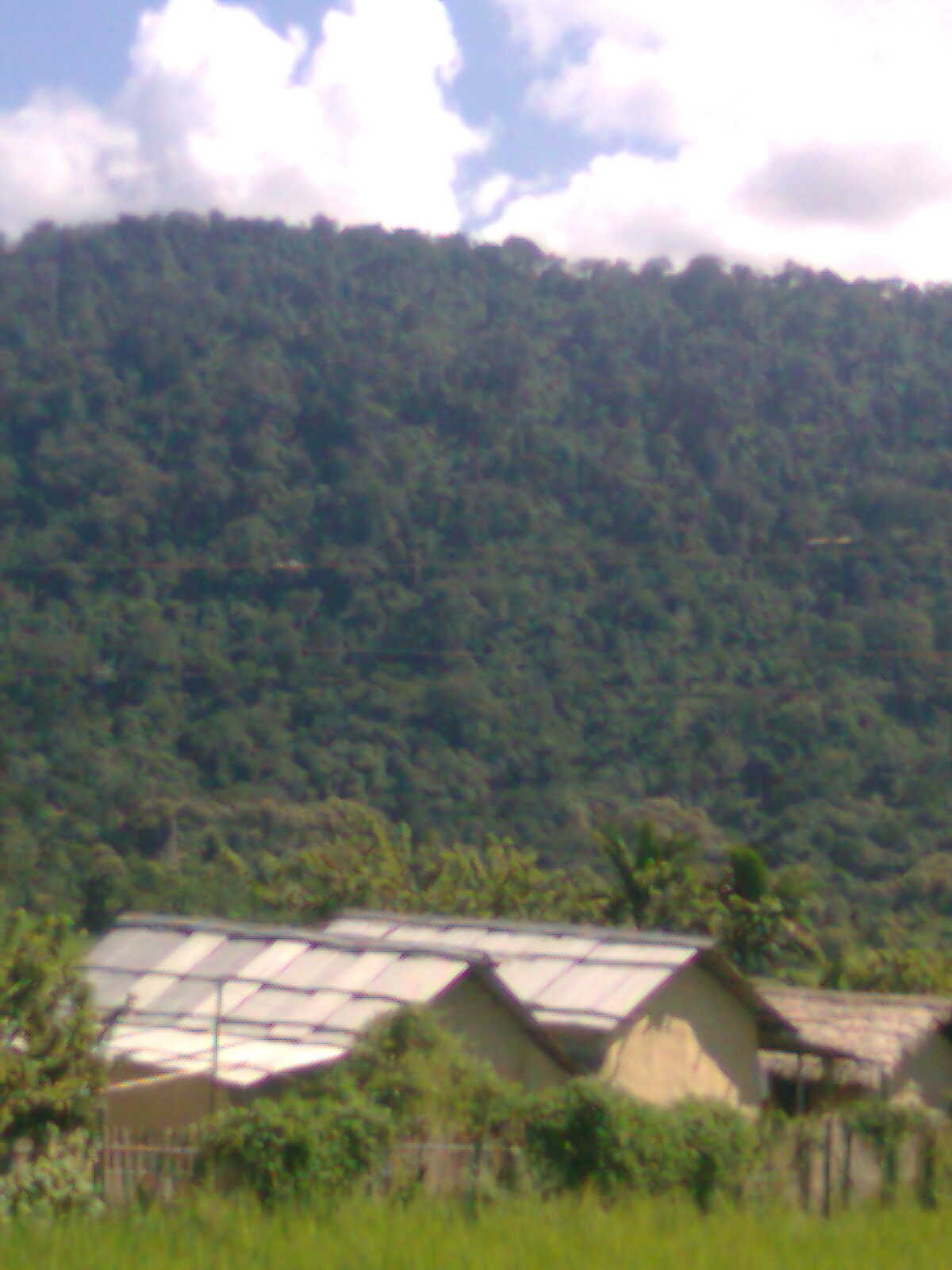 Umrangso