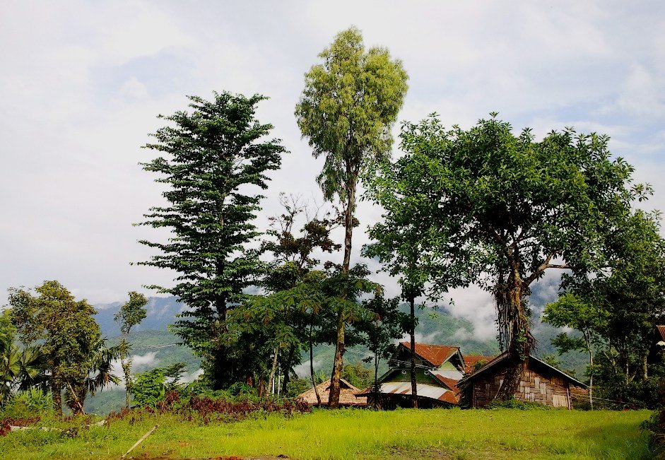 Mon District
